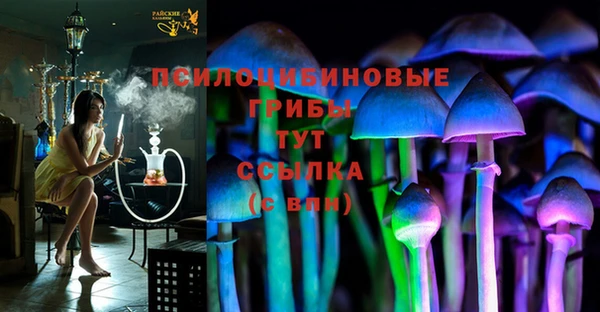 ешки Балахна