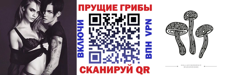 где купить наркоту  Феодосия  сайты даркнета как зайти  Галлюциногенные грибы ЛСД 